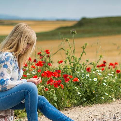 건강보험료 정산: 4월, 환급액 받을 기회일까? 건강보험료 정산: 4월, 환급액 받을 기회일까?