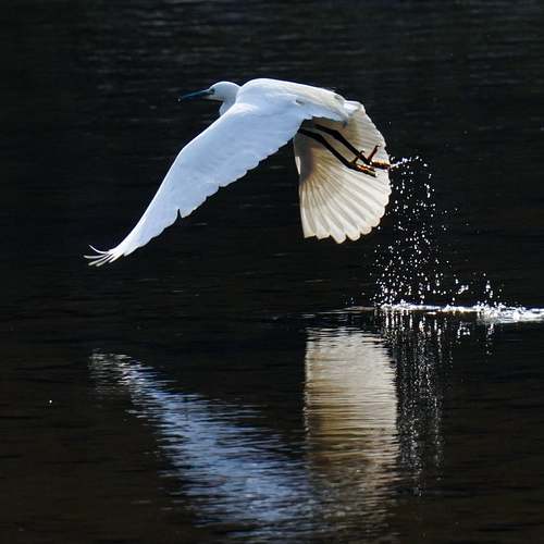 n8n: 자동화의 혁신, 워크플로우를 간편하게 자동화하세요! n8n: 자동화의 혁신, 워크플로우를 간편하게 자동화하세요!