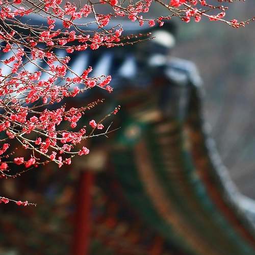 2022년 지방선거, 사전투표와 본투표 일정 완벽 정리! 2022년 지방선거, 사전투표와 본투표 일정 완벽 정리!