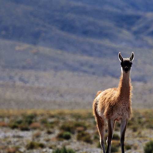 민생회복소비쿠폰 사용법과 25만원 제대로 받는 방법, 통합 가이드 민생회복소비쿠폰 사용법과 25만원 제대로 받는 방법, 통합 가이드