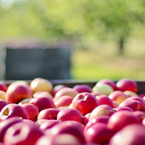 경기도교통연수원 여객 화물 보수교육 예약 시스템의 모든 것 경기도교통연수원 여객 화물 보수교육 예약 시스템의 모든 것