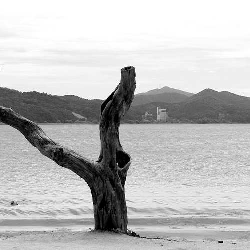 경기도 교통연수원 운수종사자교육, 당신의 운전 경력을 위한 필수 교육! 경기도 교통연수원 운수종사자교육, 당신의 운전 경력을 위한 필수 교육!