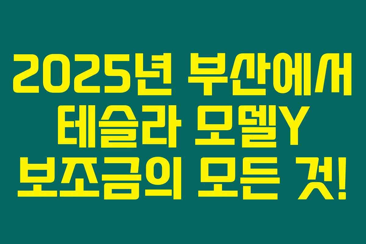 2025년 부산에서 테슬라 모델Y 보조금의 모든 것! 2025년 부산에서 테슬라 모델Y 보조금의 모든 것!