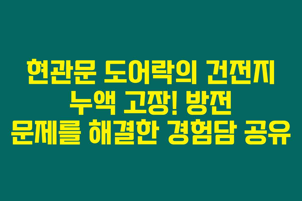 현관문 도어락의 건전지 누액 고장! 방전 문제를 해결한 경험담 공유 현관문 도어락의 건전지 누액 고장! 방전 문제를 해결한 경험담 공유