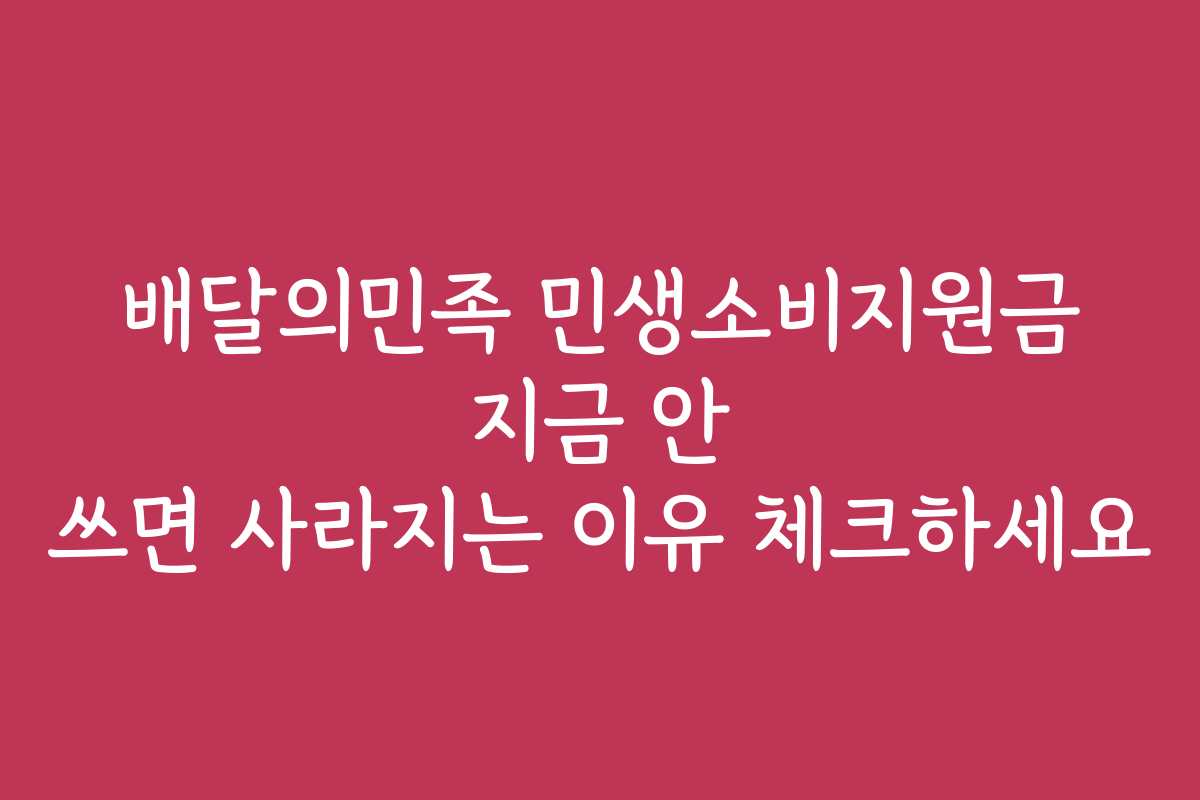 배달의민족 민생소비지원금 지금 안 쓰면 사라지는 이유 체크하세요