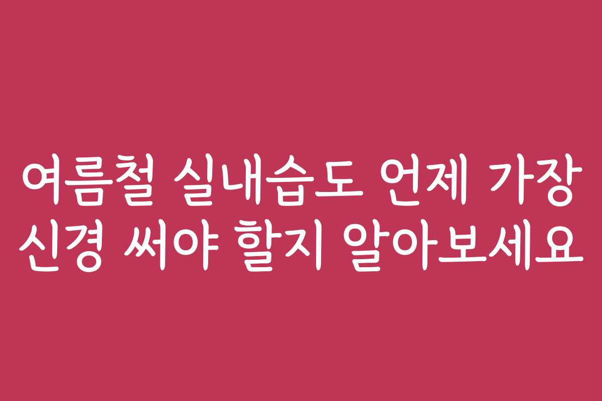 여름철 실내습도 언제 가장 신경 써야 할지 알아보세요