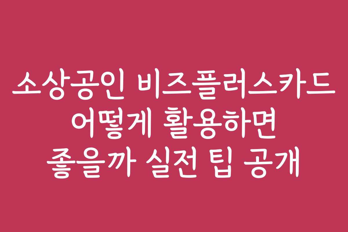 소상공인 비즈플러스카드 어떻게 활용하면 좋을까 실전 팁 공개