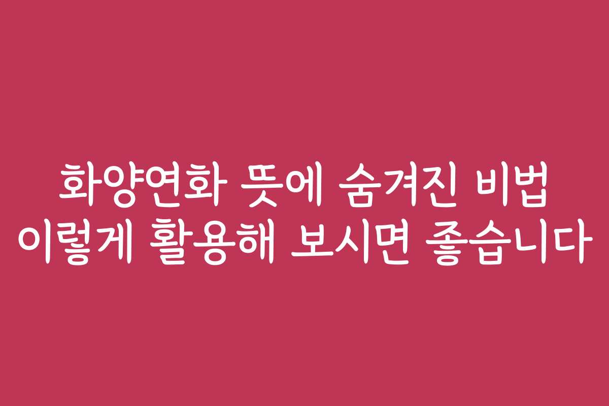 화양연화 뜻에 숨겨진 비법 이렇게 활용해 보시면 좋습니다 화양연화 뜻에 숨겨진 비법 이렇게 활용해 보시면 좋습니다