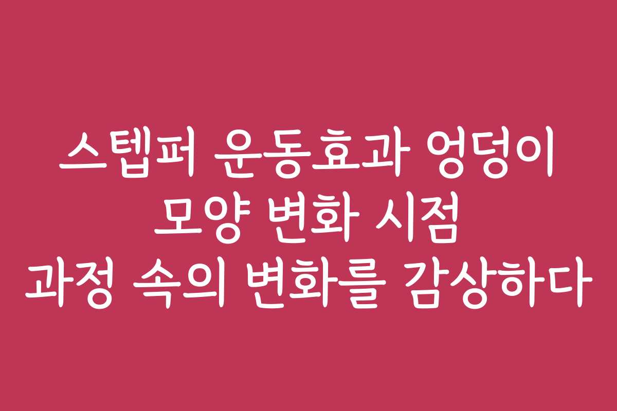 스텝퍼 운동효과 엉덩이 모양 변화 시점 과정 속의 변화를 감상하다