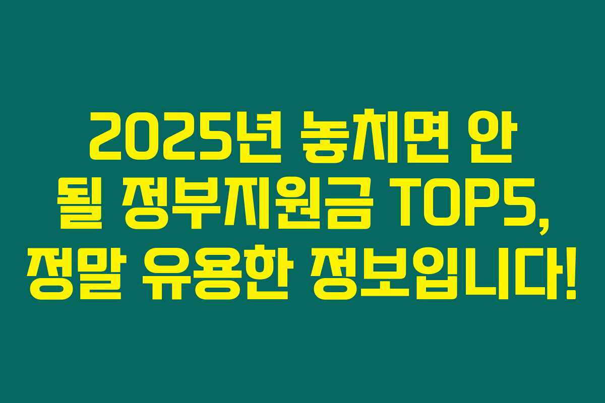 2025년 놓치면 안 될 정부지원금 TOP5, 정말 유용한 정보입니다! 2025년 놓치면 안 될 정부지원금 TOP5, 정말 유용한 정보입니다!