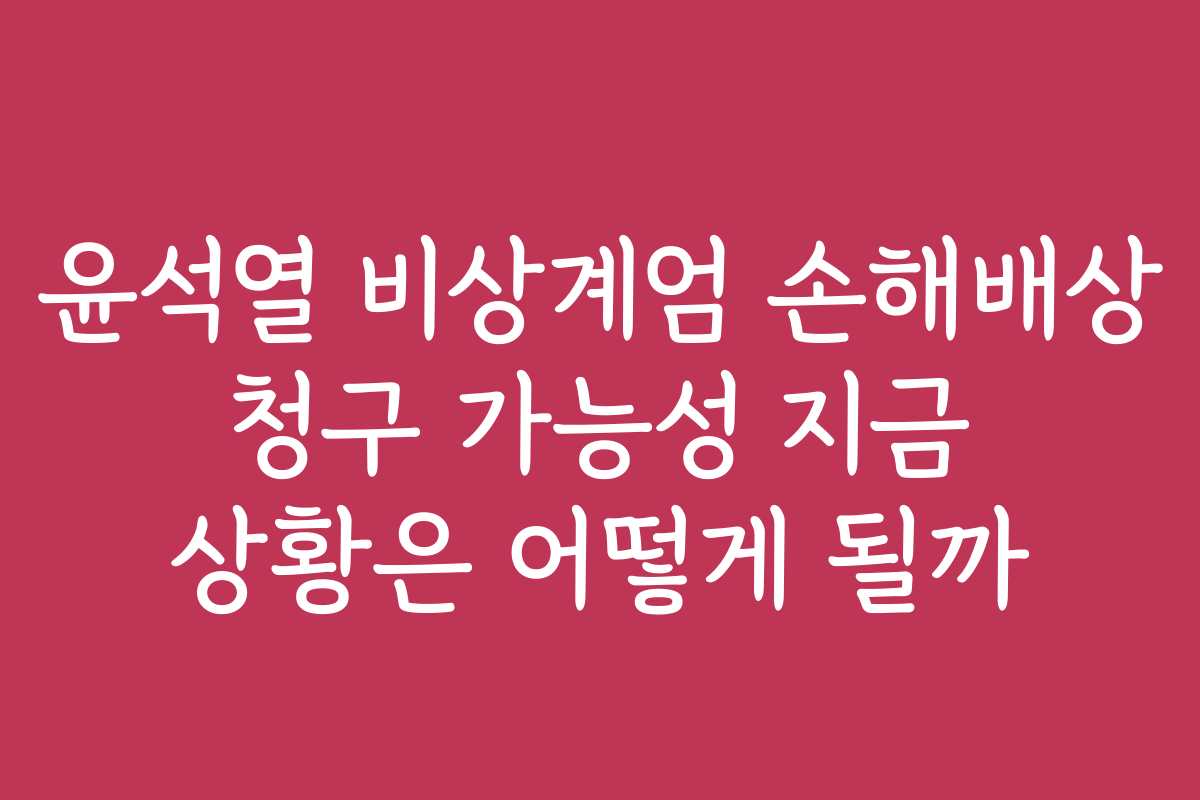 윤석열 비상계엄 손해배상 청구 가능성 지금 상황은 어떻게 될까