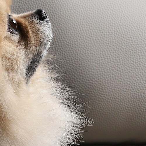 강원도 다자녀 가정의 든든한 지원, 반비다복 카드로 경제적 여유 찾기 강원도 다자녀 가정의 든든한 지원, 반비다복 카드로 경제적 여유 찾기