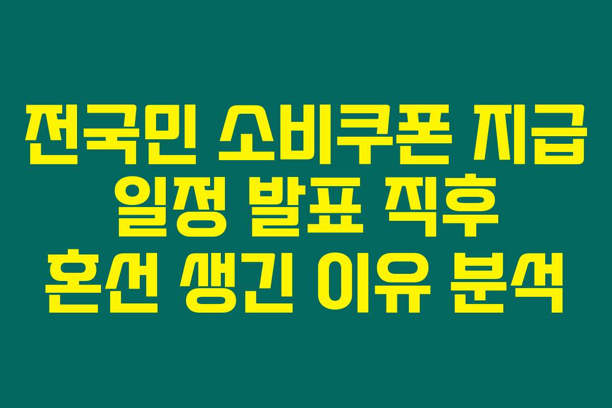 전국민 소비쿠폰 지급 일정 발표 직후 혼선 생긴 이유 분석 전국민 소비쿠폰 지급 일정 발표 직후 혼선 생긴 이유 분석
