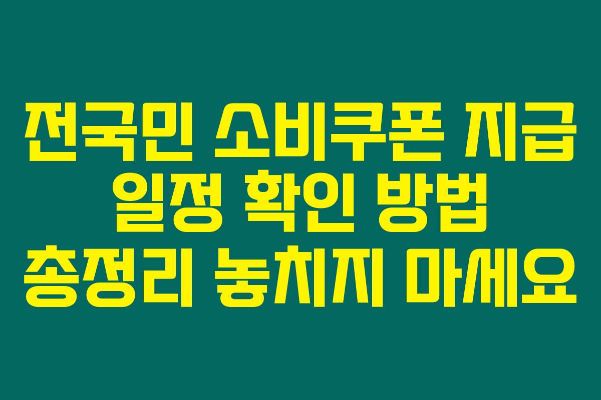 전국민 소비쿠폰 지급 일정 확인 방법 총정리 놓치지 마세요
