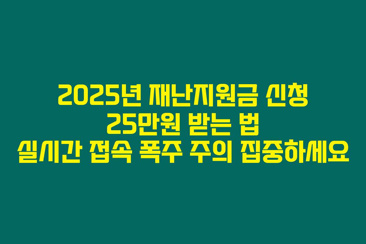 2025년 재난지원금 신청 25만원 받는 법 실시간 접속 폭주 주의 집중하세요 2025년 재난지원금 신청 25만원 받는 법 실시간 접속 폭주 주의 집중하세요