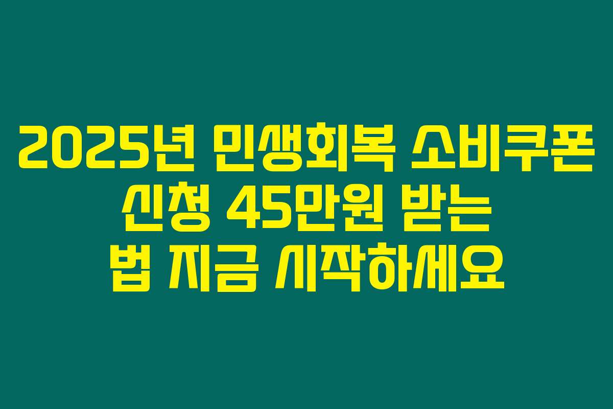 2025년 민생회복 소비쿠폰 신청 45만원 받는 법 지금 시작하세요