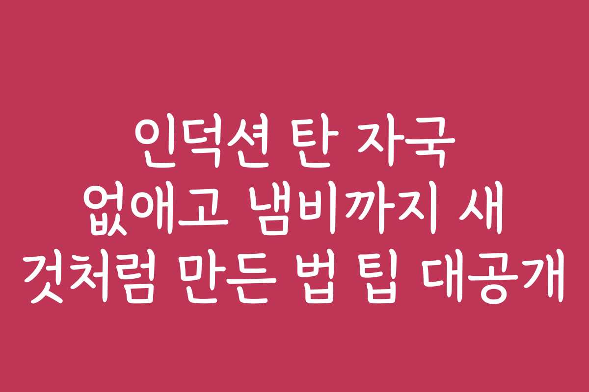 인덕션 탄 자국 없애고 냄비까지 새 것처럼 만든 법 팁 대공개