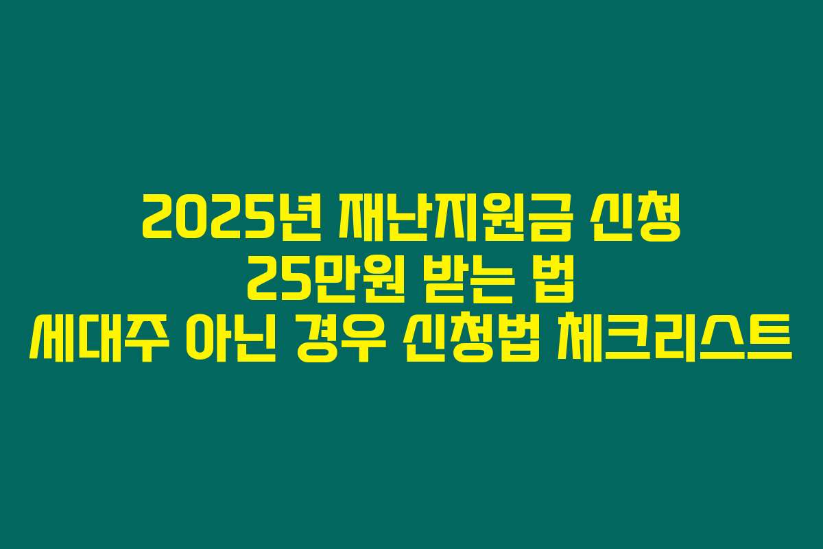 2025년 재난지원금 신청 25만원 받는 법 세대주 아닌 경우 신청법 체크리스트