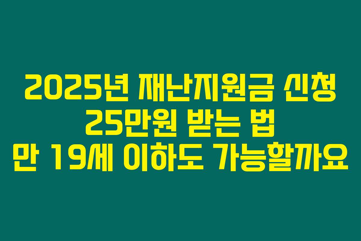 2025년 재난지원금 신청 25만원 받는 법 만 19세 이하도 가능할까요