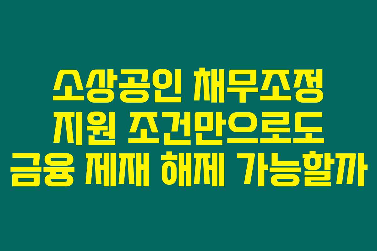 소상공인 채무조정 지원 조건만으로도 금융 제재 해제 가능할까