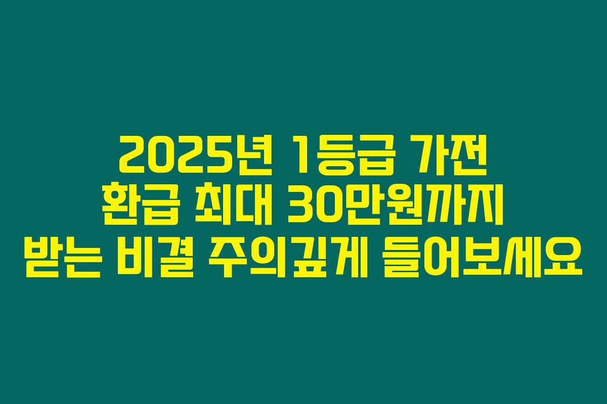 2025년 1등급 가전 환급 최대 30만원까지 받는 비결 주의깊게 들어보세요
