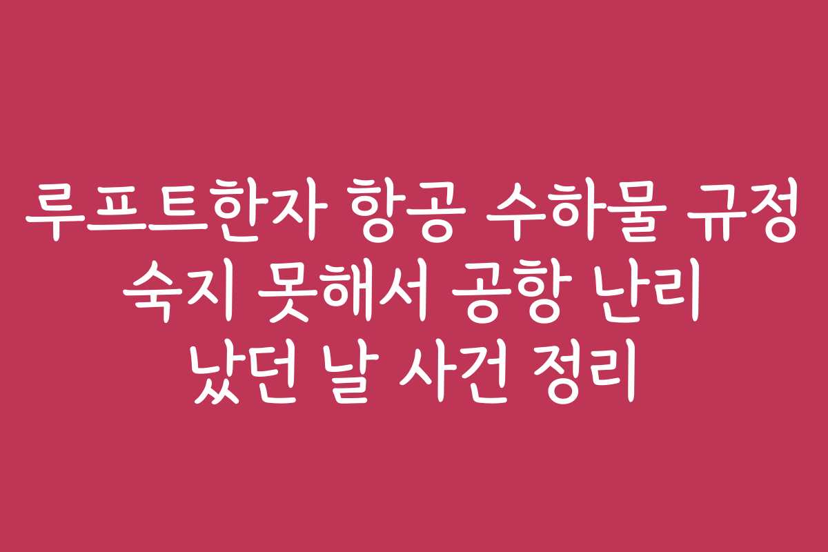 루프트한자 항공 수하물 규정 숙지 못해서 공항 난리 났던 날 사건 정리