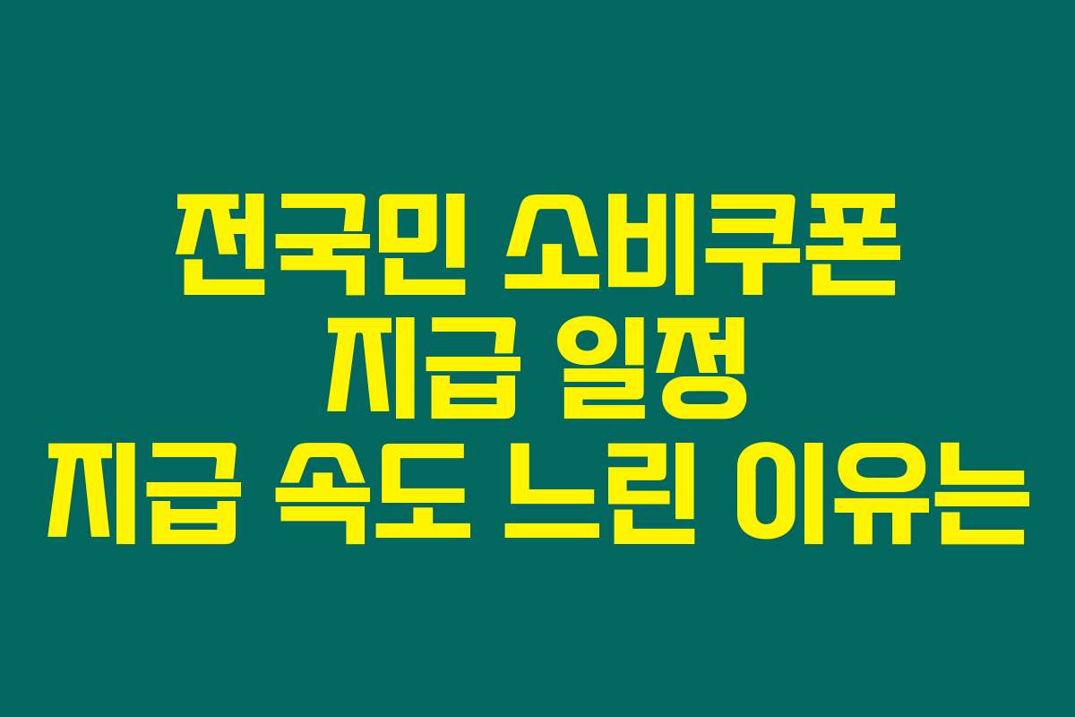 전국민 소비쿠폰 지급 일정 지급 속도 느린 이유는