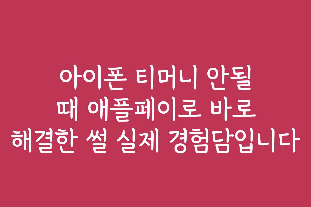 아이폰 티머니 안될 때 애플페이로 바로 해결한 썰 실제 경험담입니다