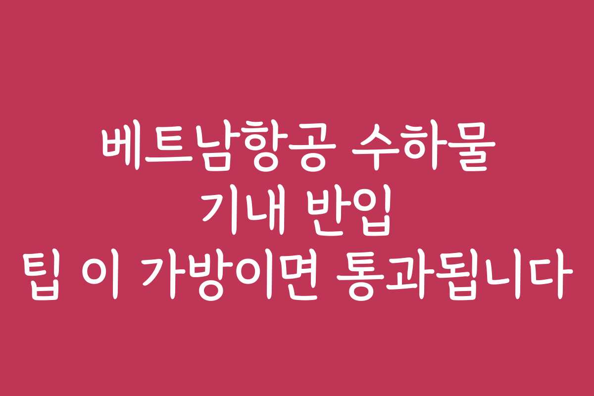 베트남항공 수하물 기내 반입 팁 이 가방이면 통과됩니다