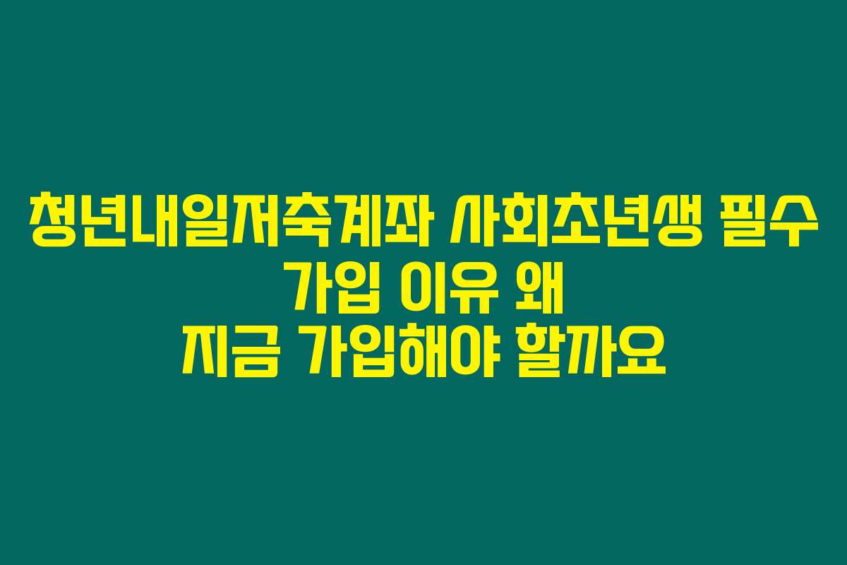 청년내일저축계좌 사회초년생 필수 가입 이유 왜 지금 가입해야 할까요