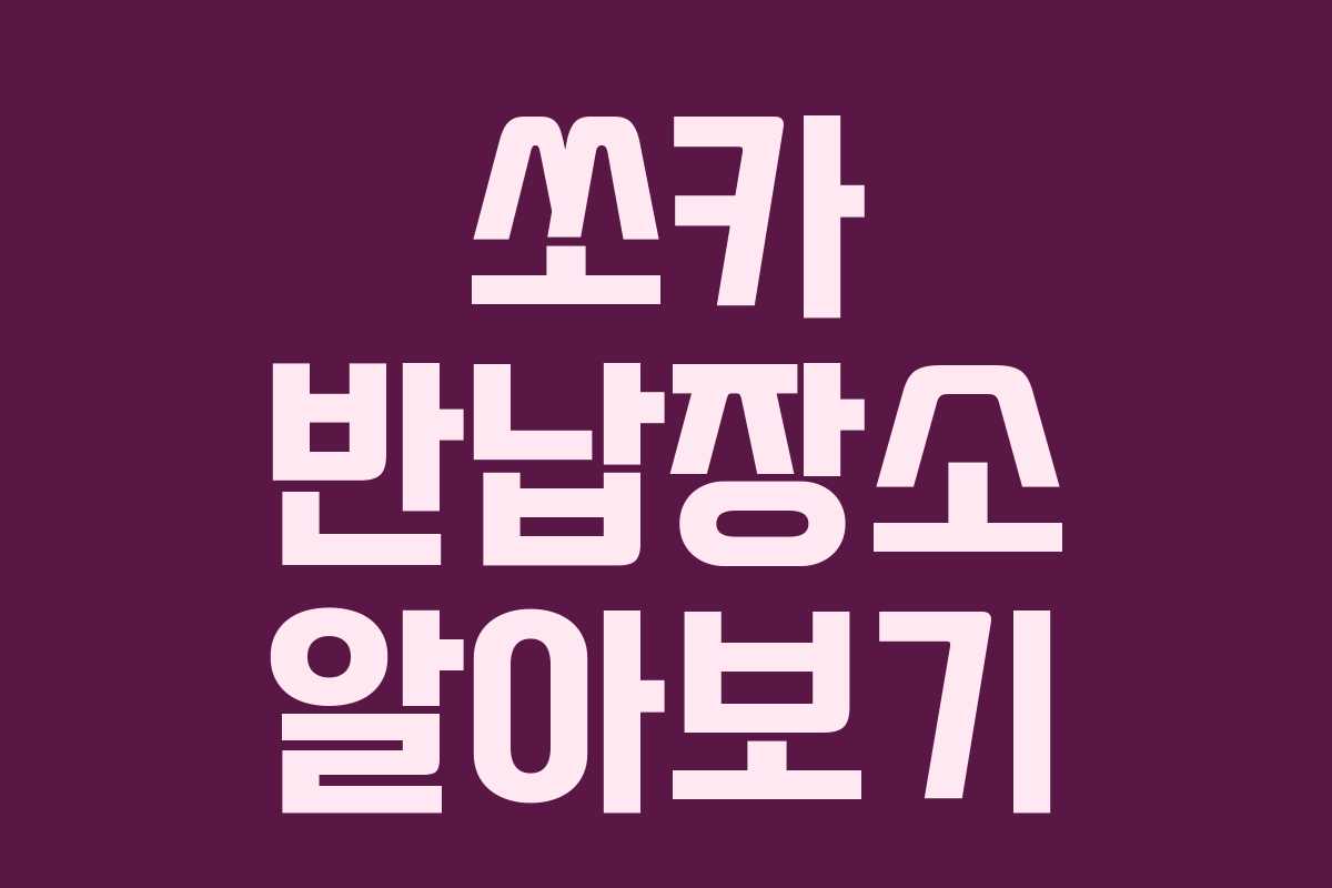 쏘카 반납장소 알아보기