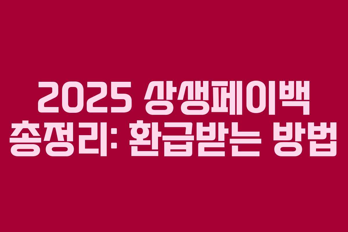 2025 상생페이백 총정리: 환급받는 방법 2025 상생페이백 총정리: 환급받는 방법