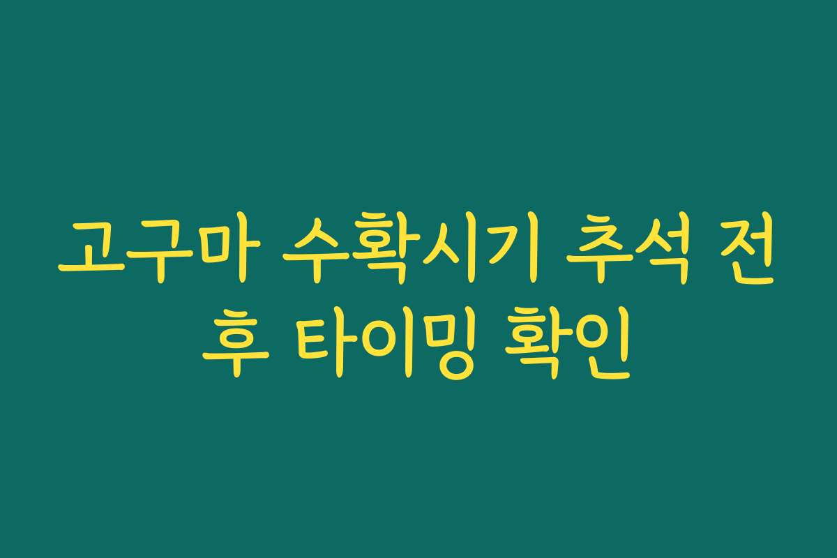 고구마 수확시기 추석 전후 타이밍 확인