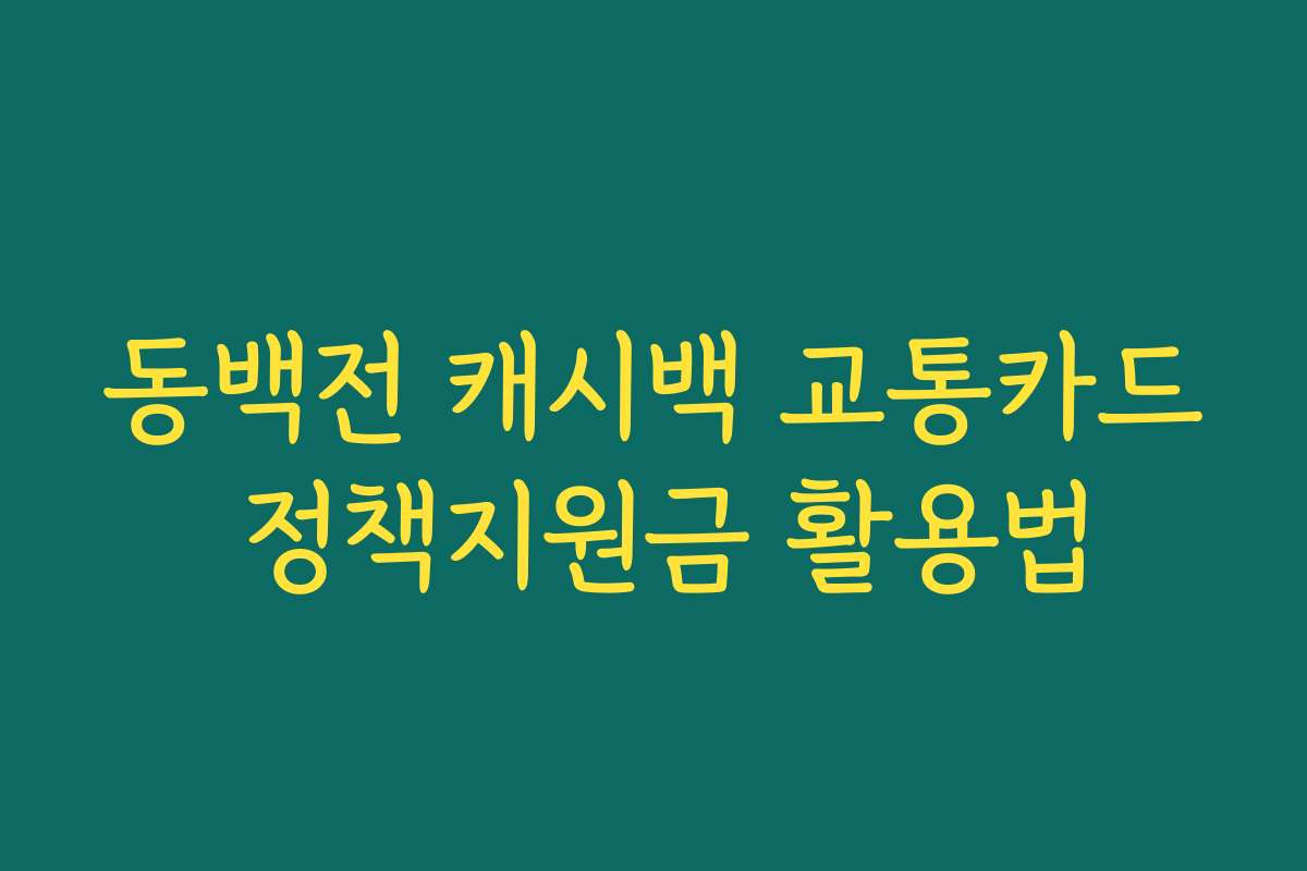 동백전 캐시백 교통카드 정책지원금 활용법