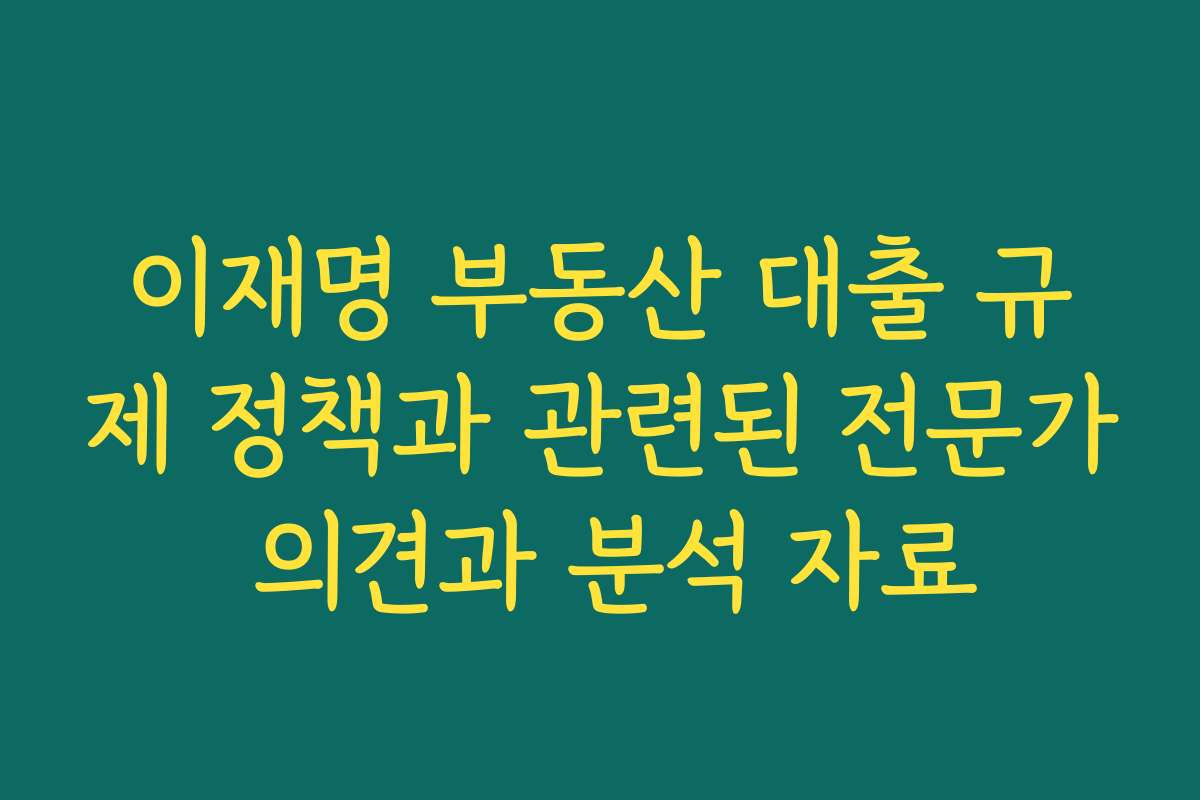 이재명 부동산 대출 규제 정책과 관련된 전문가 의견과 분석 자료
