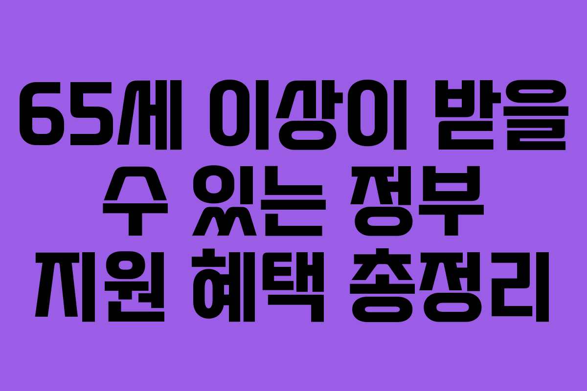 65세 이상이 받을 수 있는 정부 지원 혜택 총정리 65세 이상이 받을 수 있는 정부 지원 혜택 총정리
