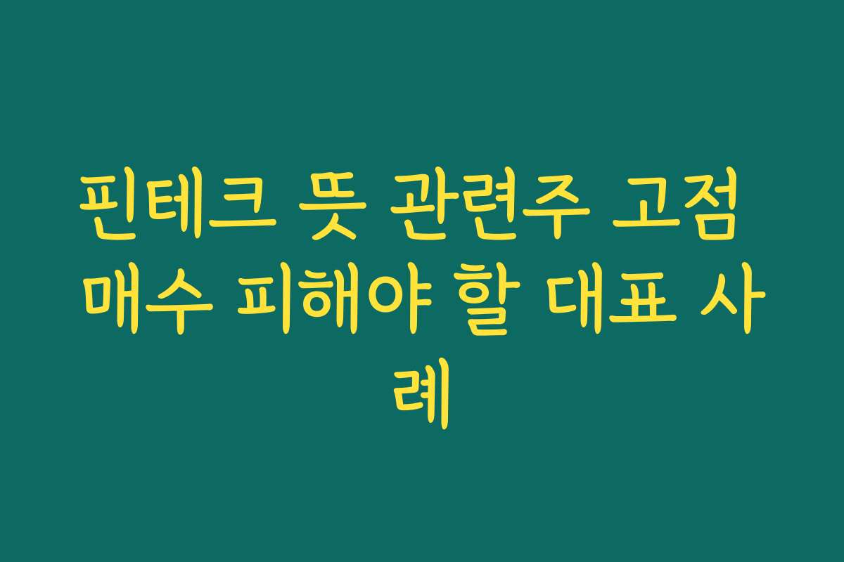 핀테크 뜻 관련주 고점 매수 피해야 할 대표 사례