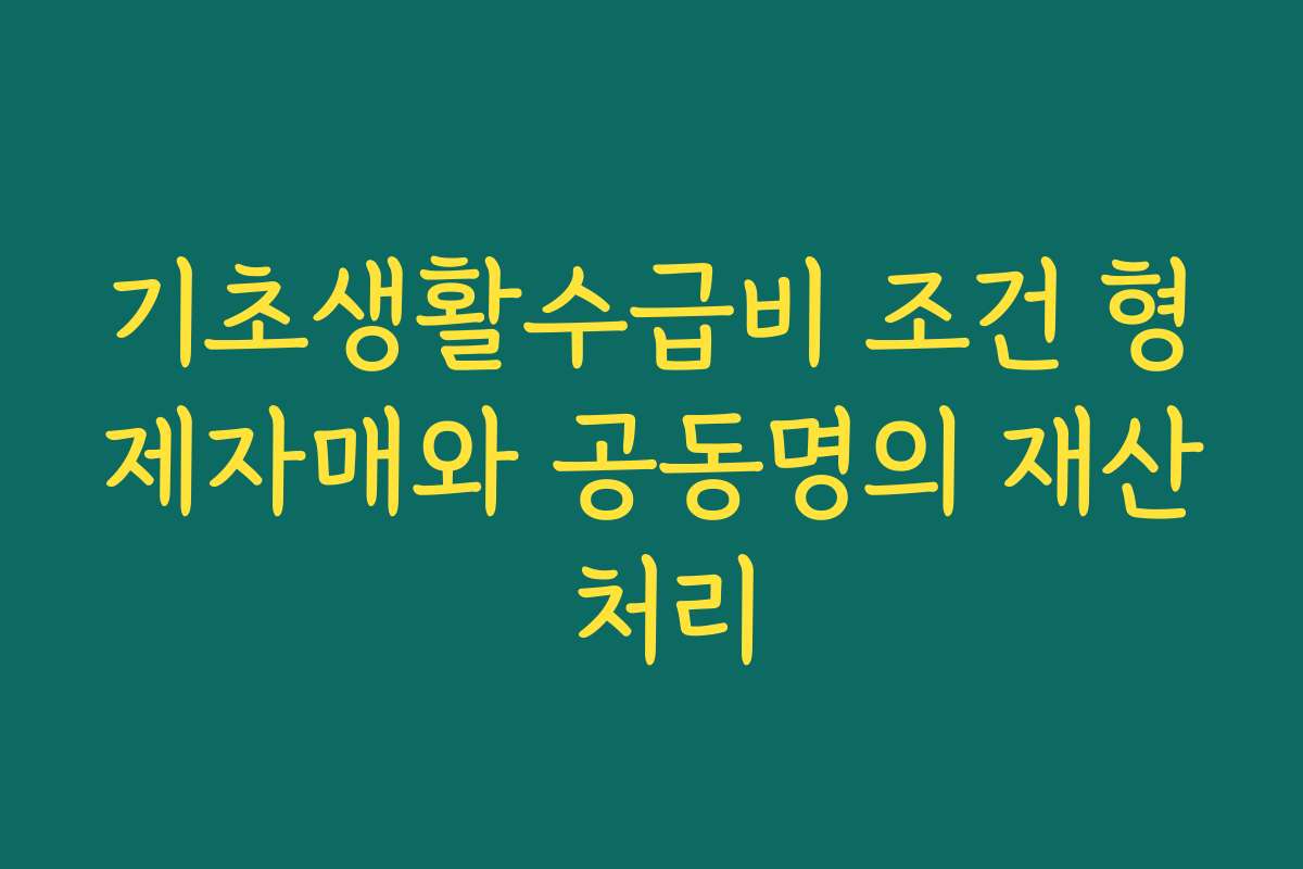 기초생활수급비 조건 형제자매와 공동명의 재산 처리