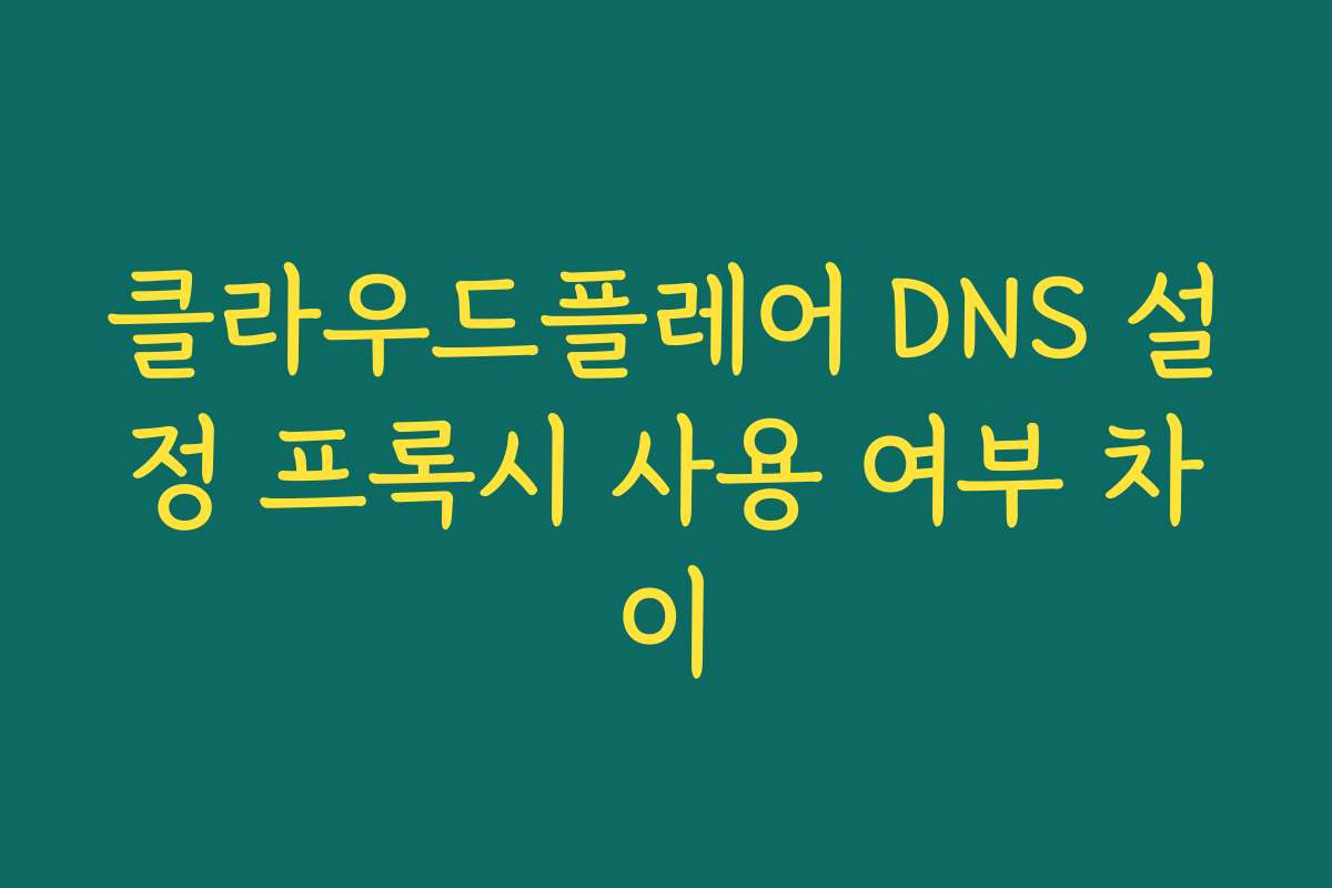 클라우드플레어 DNS 설정 프록시 사용 여부 차이