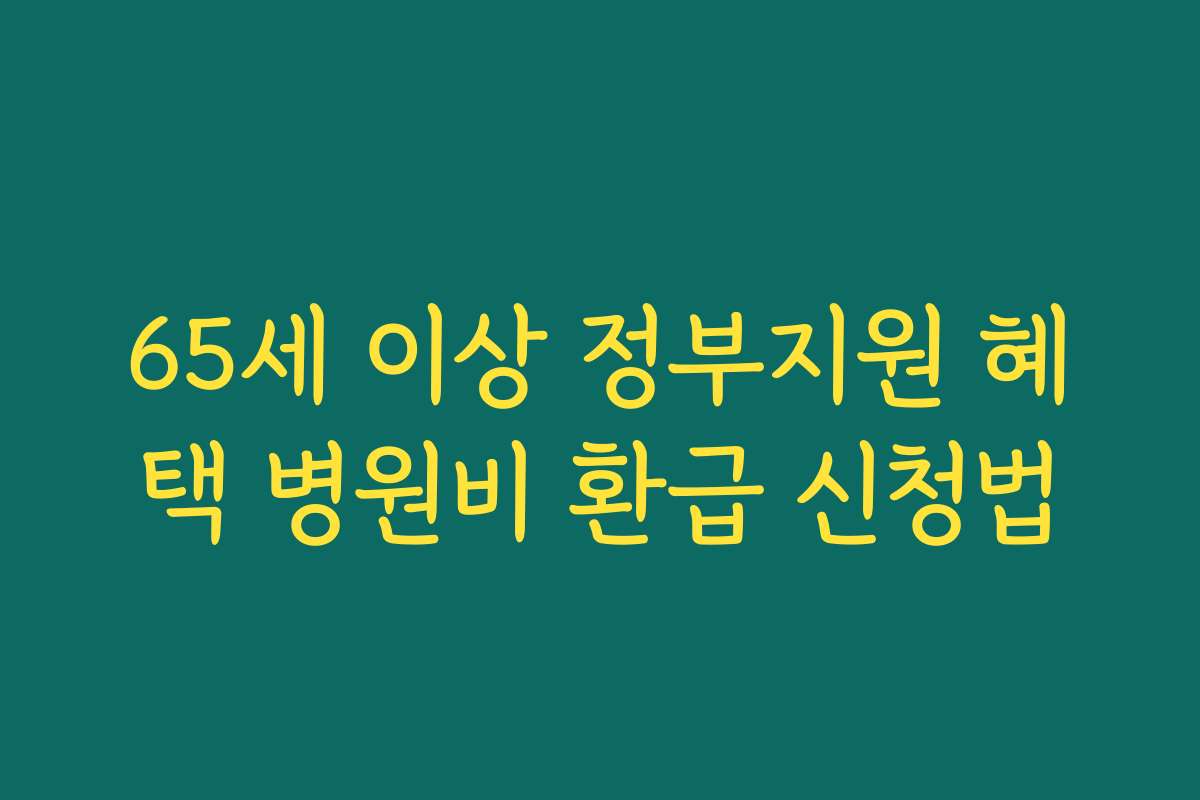 65세 이상 정부지원 혜택 병원비 환급 신청법