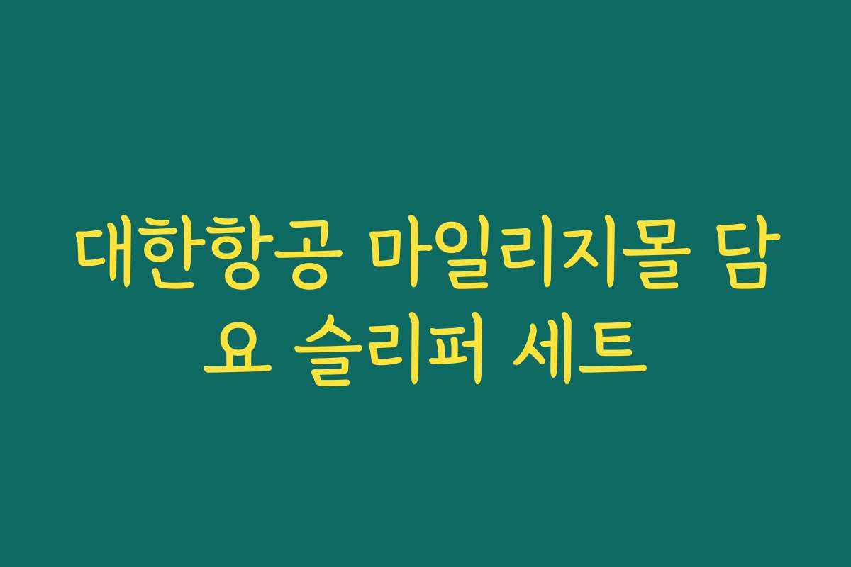 대한항공 마일리지몰 담요 슬리퍼 세트