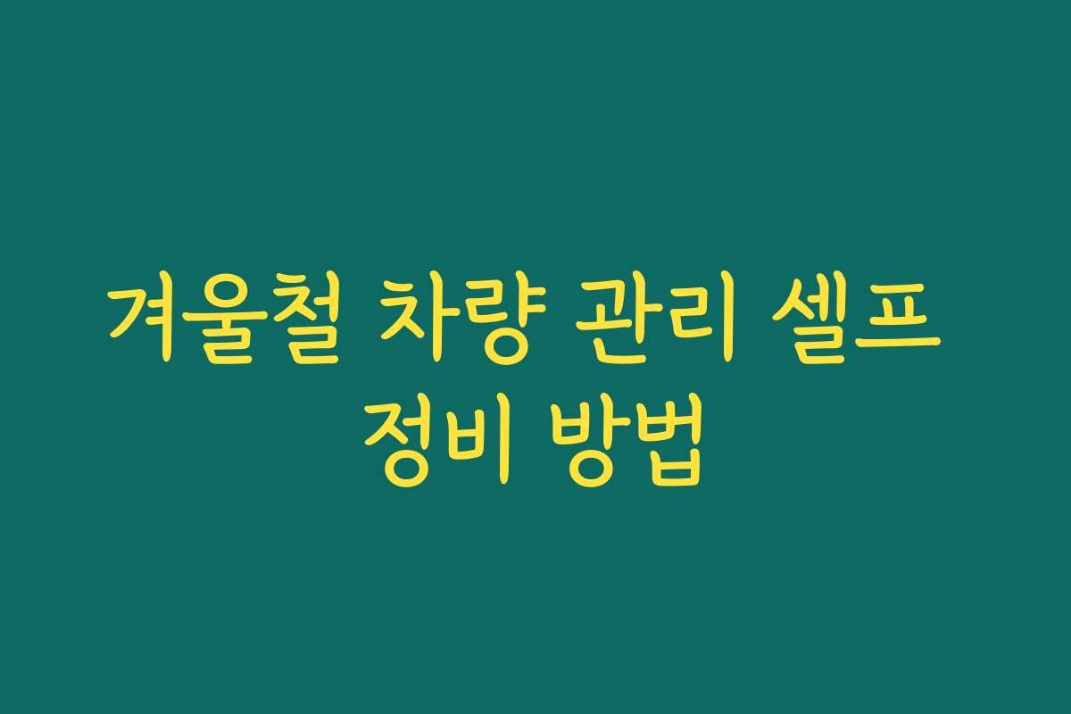 겨울철 차량 관리 셀프 정비 방법