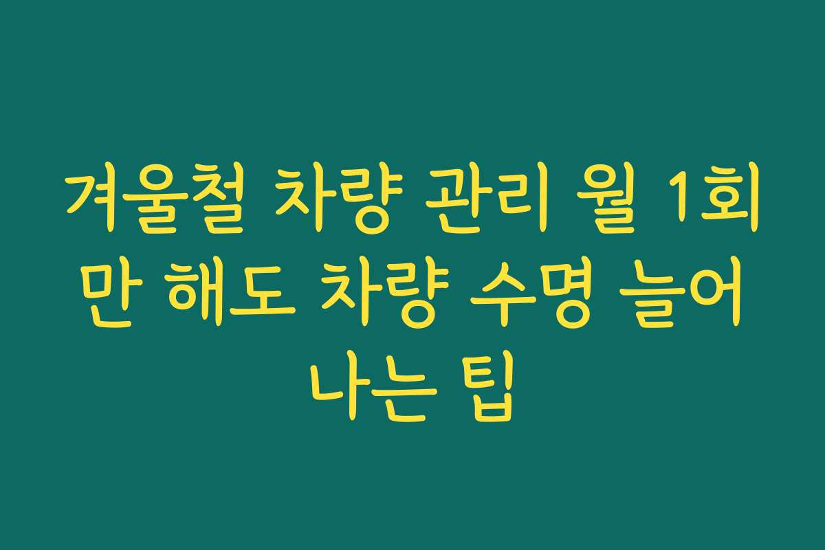 겨울철 차량 관리 월 1회만 해도 차량 수명 늘어나는 팁