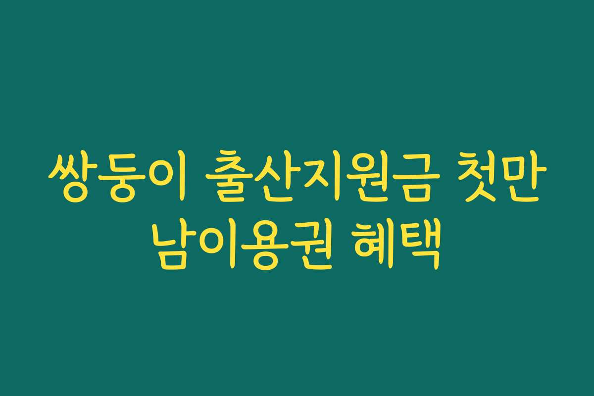 쌍둥이 출산지원금 첫만남이용권 혜택