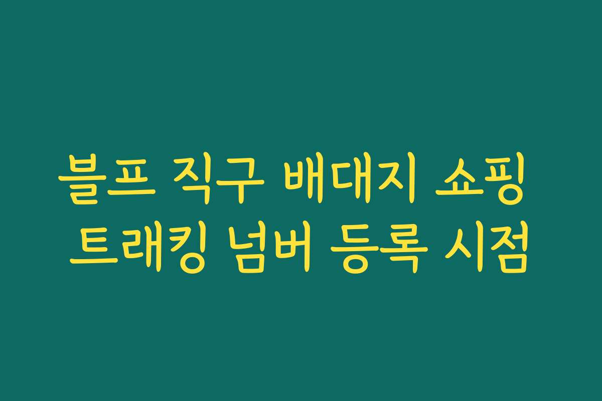 블프 직구 배대지 쇼핑 트래킹 넘버 등록 시점