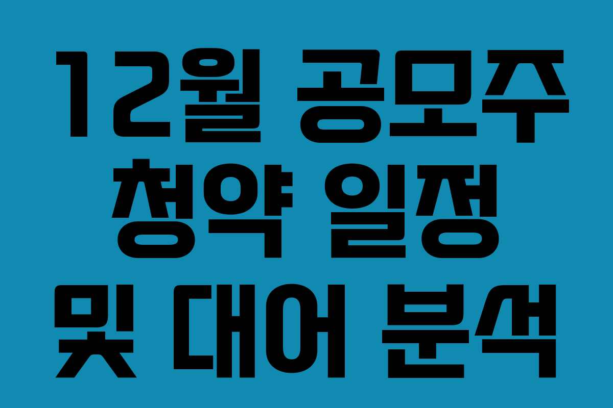 12월 공모주 청약 일정 및 대어 분석