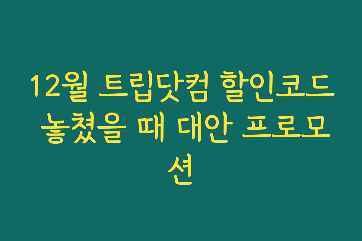 12월 트립닷컴 할인코드 놓쳤을 때 대안 프로모션