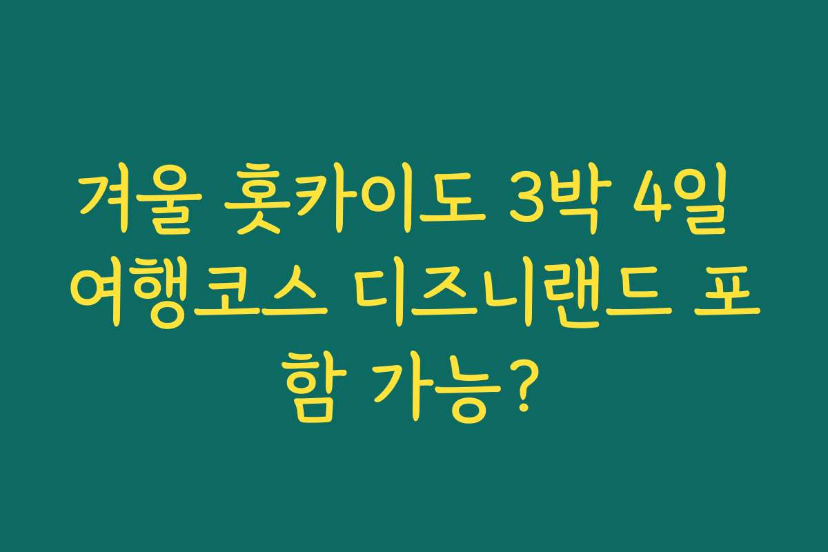 겨울 홋카이도 3박 4일 여행코스 디즈니랜드 포함 가능?