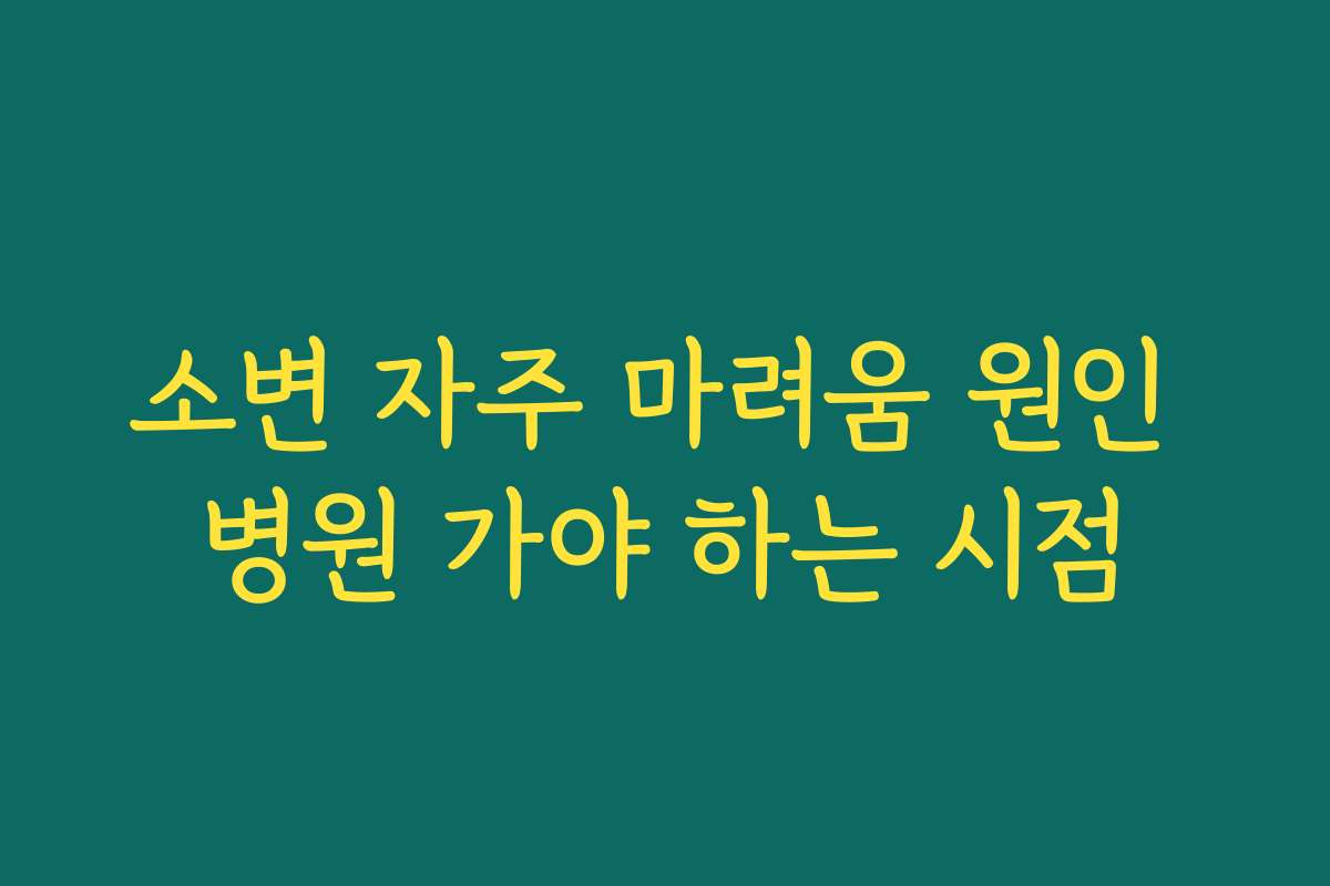 소변 자주 마려움 원인 병원 가야 하는 시점