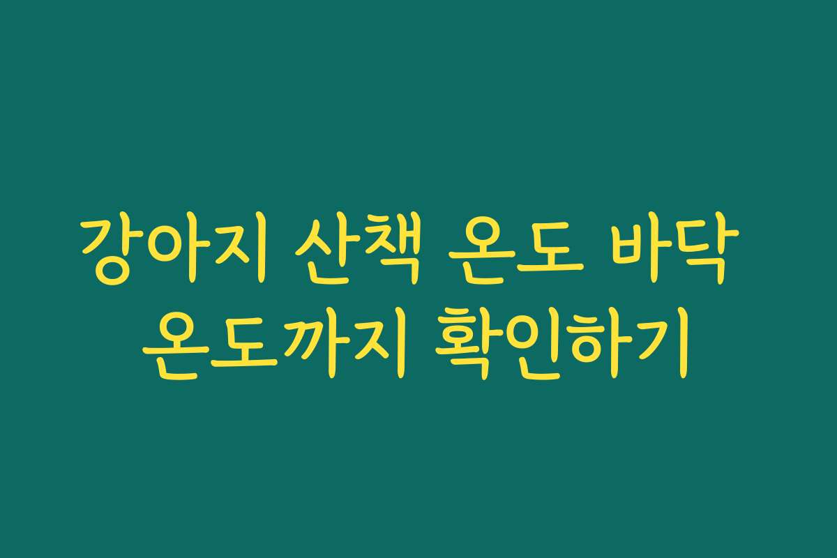 강아지 산책 온도 바닥 온도까지 확인하기